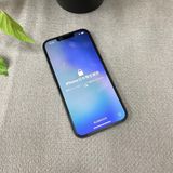 iPhone 16e  256GB ֥å  ̵