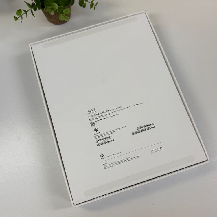 ���ʡ�̤���� iPad Pro 13����� M5���å� 256GB Wifi+Cellular