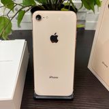 iPhone8 64GB  SIMե꡼ ̵
