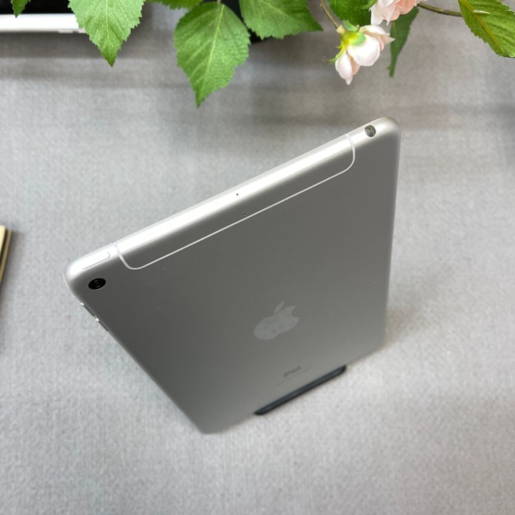 iPad Mini �裵���� 64GB ����С� WiFi + Cellular ����̵��