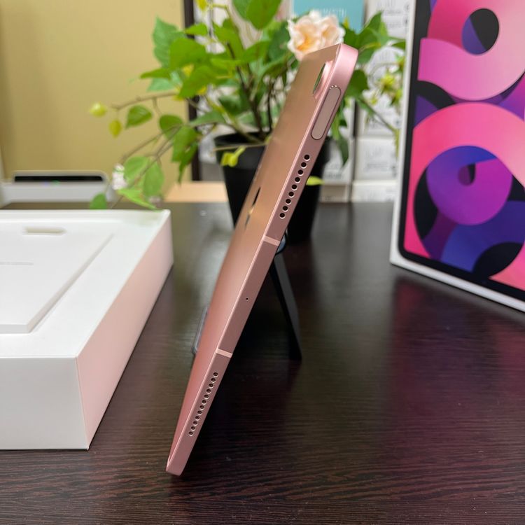 iPad Air(4) 256GB ԥ  Wi-Fi + Cellularǥ