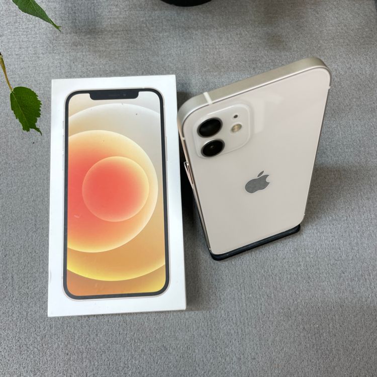 iPhone 12 �ۥ磻�� 64GB ����SIM�ե꡼ ����̵��