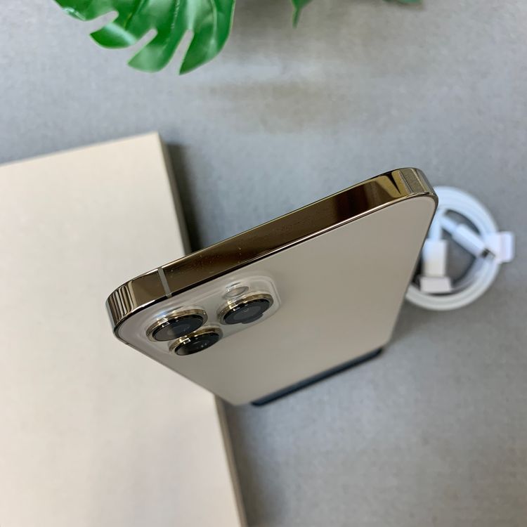 �Хåƥ꡼ 97�� iPhone12 ProMax 256Gb ������� ����SIM�ե꡼ ����̵��
