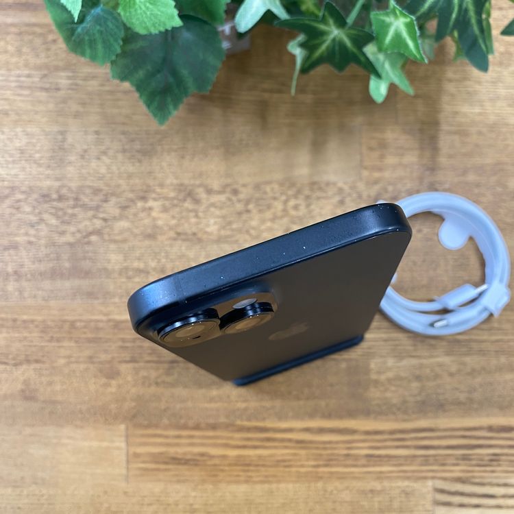 iPhone 15 512GB �֥�å� ������ SIM�ե꡼����̵��