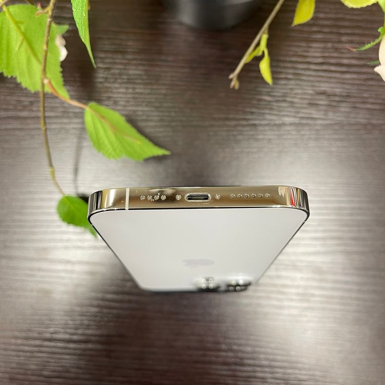 iPhone 14ProMax 1TB СApple SIMե꡼̵