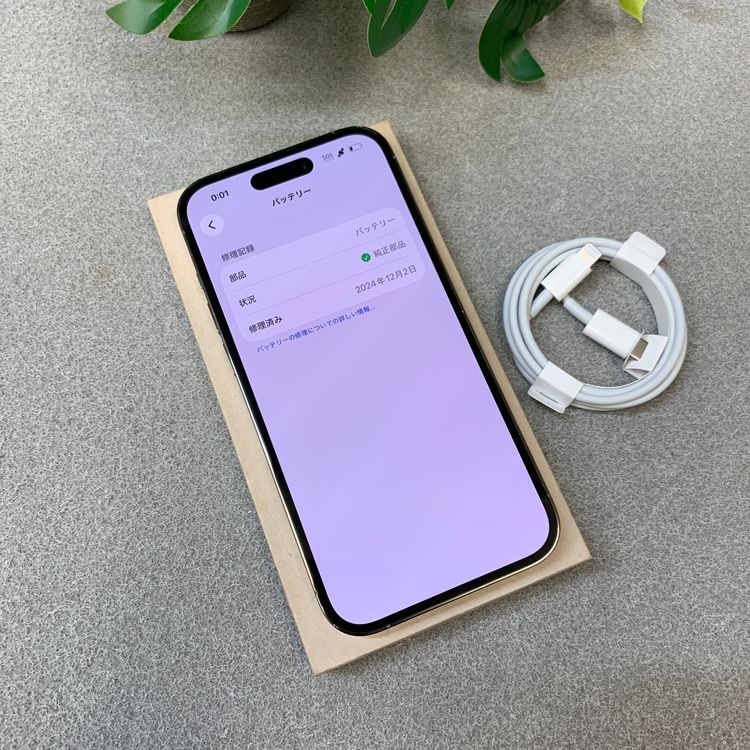 �Хåƥ꡼85% iPhone 14Pro 256Gb ������� ������ SIM�ե꡼