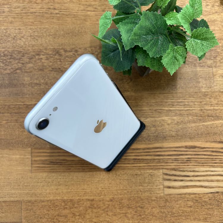 iPhone SE2 64GB �ۥ磻�� ������ SIM�ե꡼ ����̵��