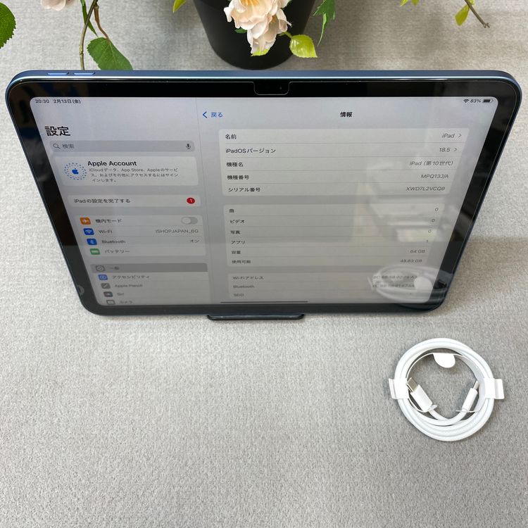 �Хåƥ꡼100% iPad ��10���� 64GB �֥롼  WiFi�ǥ�ǥ� ����̵��