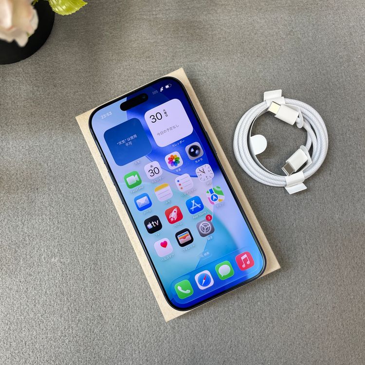 �Хåƥ꡼ 100% iPhone 17Pro 256GB �֥롼 ������SIM�ե꡼����̵��