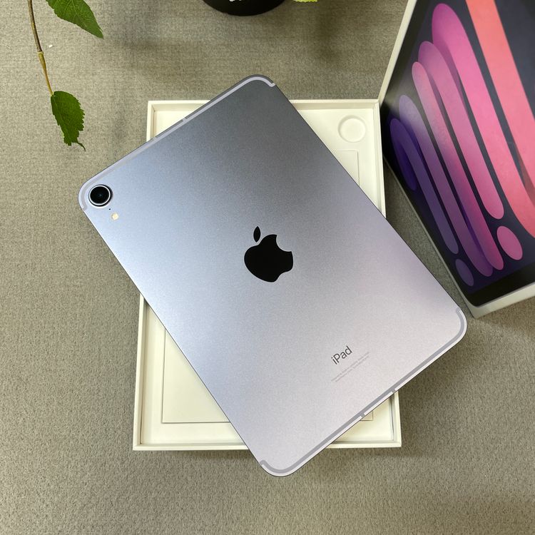 ����Ʊ�� iPad mini 6 256GB Wi-Fi + Cellular��ǥ� ����̵��