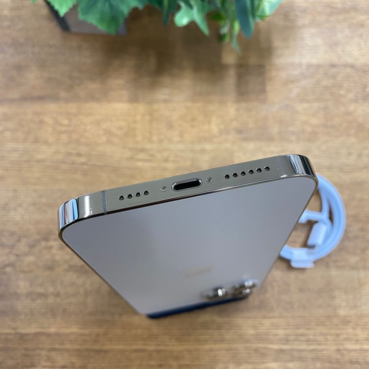 iPhone12 Pro Max 256Gb ������� ����SIM�ե꡼ ����̵��