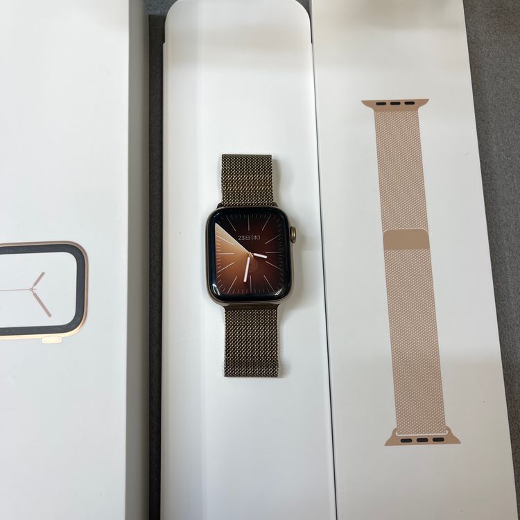 ���� Apple Watch Series 4 44mm GPS+ Cellular ����̵��
