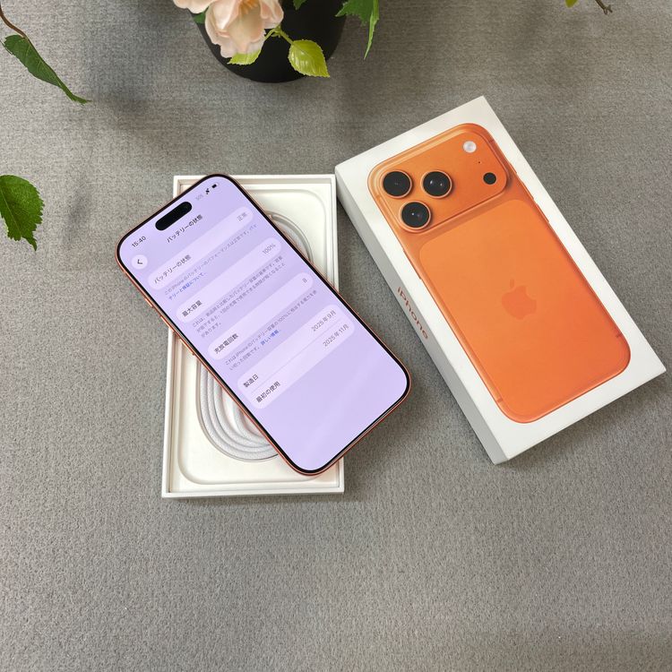 ����Ʊ�� iPhone 17 Pro 256GB ����� ������ SIM�ե꡼ ����̵��