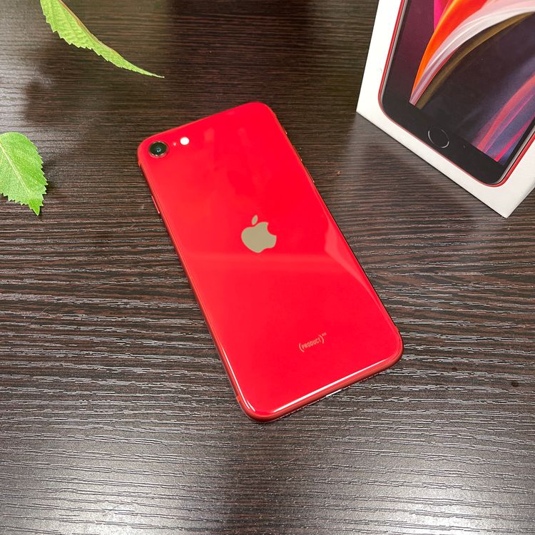 Ʊ iPhone SE(裲) å  128GB SIMե꡼ ̵