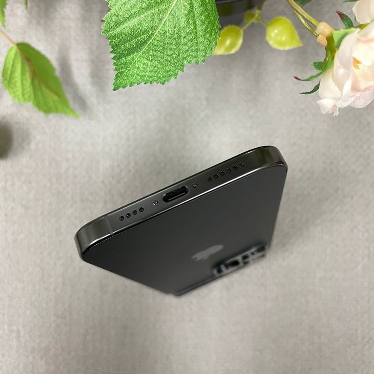 iPhone16ProMax 1TB ֥åSIMե꡼̵