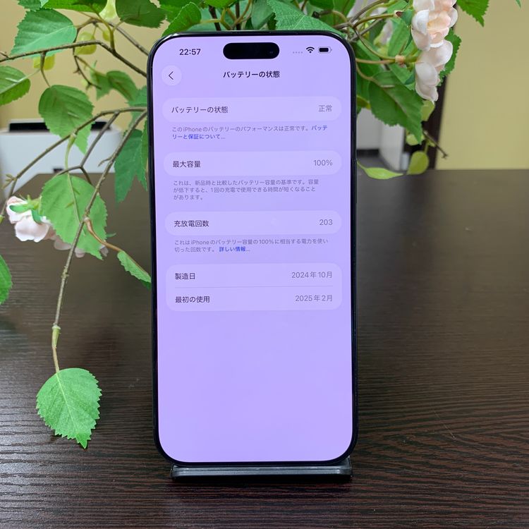 iPhone 16ProMax 256GB ֥å  SIMե꡼ ̵