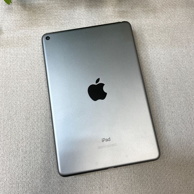 iPad mini 5 ���ڡ������쥤 256Gb Wi-Fi��ǥ� ����̵�� GLM99