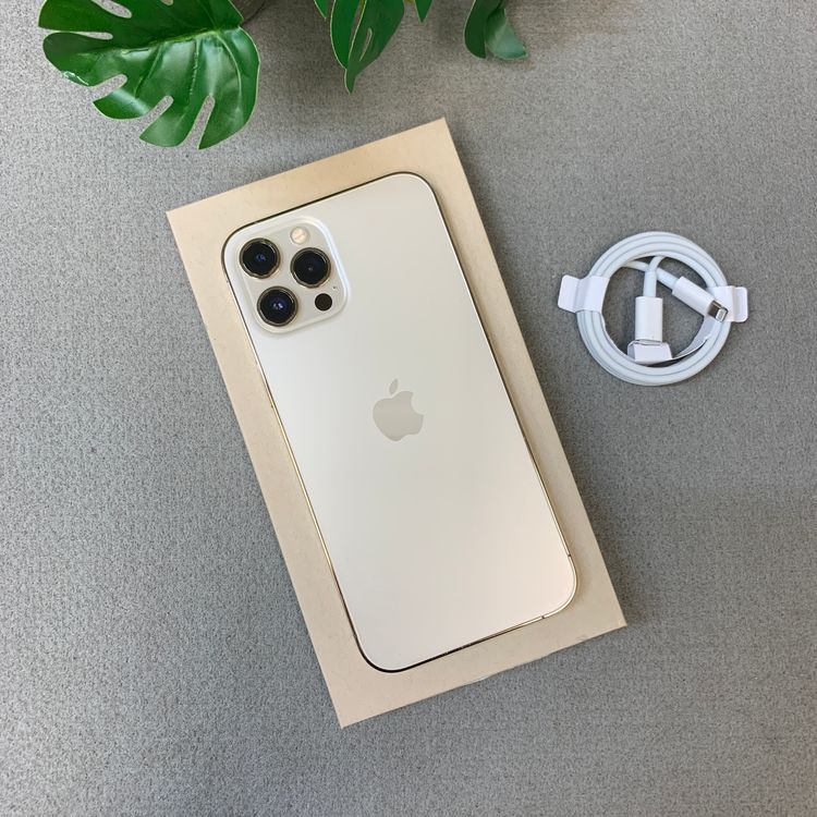 �Хåƥ꡼ 98�� iPhone12 ProMax 256Gb ������� ����SIM�ե꡼ ����̵��