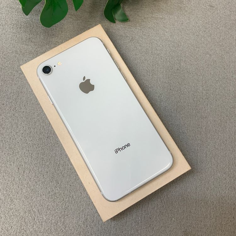 iPhone 8 64GB �ۥ磻�� ������ SIM�ե꡼����̵��