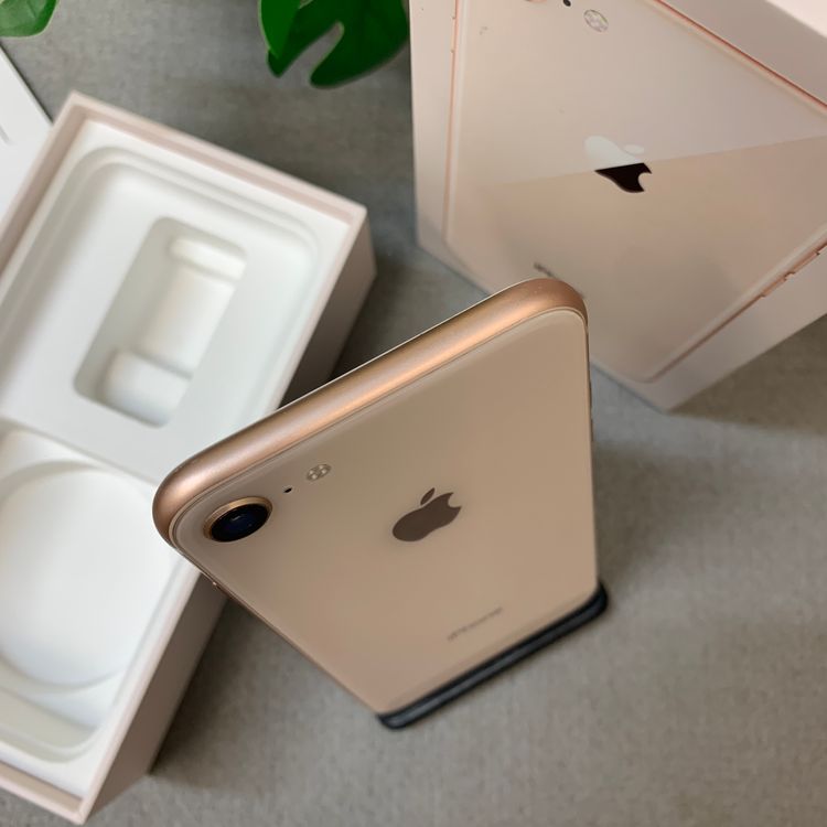 �Хåƥ꡼ 81% iPhone 8 64GB ������� ������ SIM�ե꡼����̵��