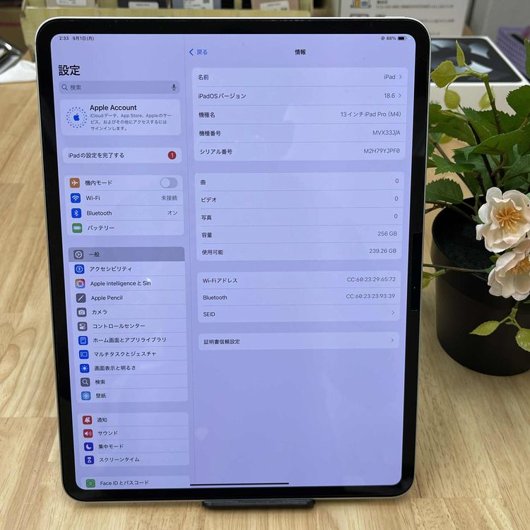 Ʊ iPad Pro M4å 13 С WiFi ǥ̵