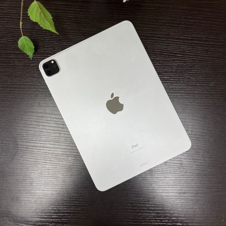 iPad Pro 112 256GB Wi-Fiǥ