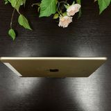 iPad Air 2  16GB Wi-Fi + Cellularǥ