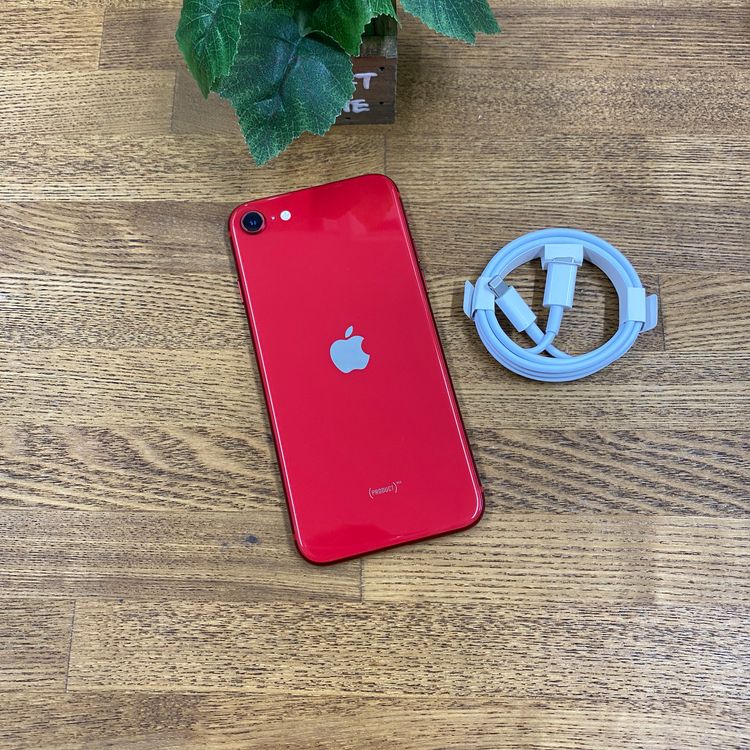 �Хåƥ꡼ 98% iPhone SE(��2 ����) 64GB  ����SIM�ե꡼ ����̵��