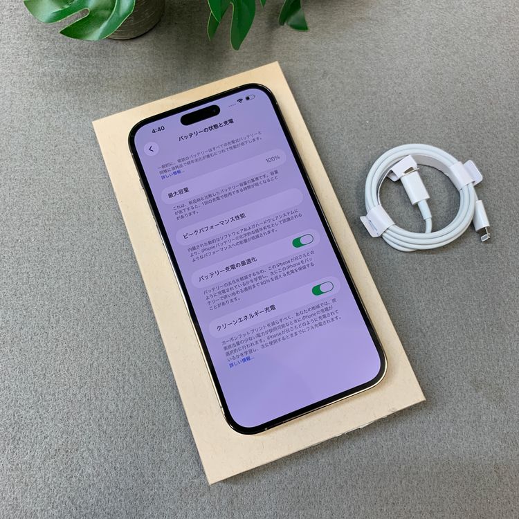�Хåƥ꡼ 100�� iPhone14 ProMax 1TB ����SIM�ե꡼ ����̵��