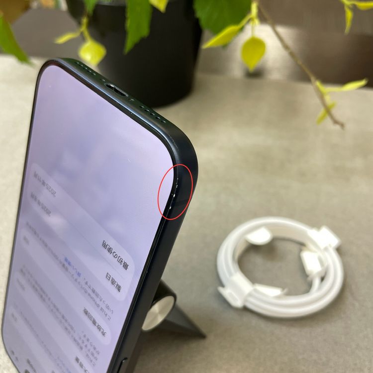 �Хåƥ꡼100% iPhone 17Pro 256GB �֥롼 ������ SIM�ե꡼����̵��
