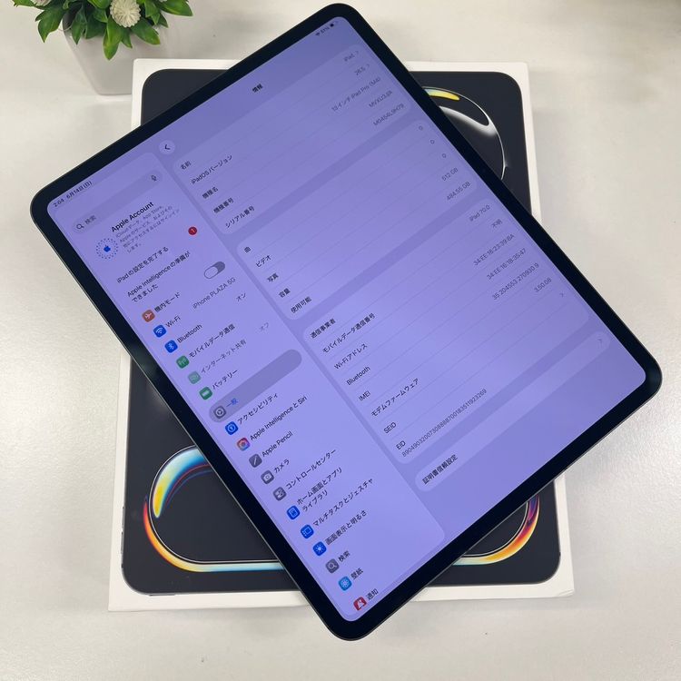 ����Ʊ�� iPad Pro 13����� M4 512GB �֥�å� WiFi + Cellular