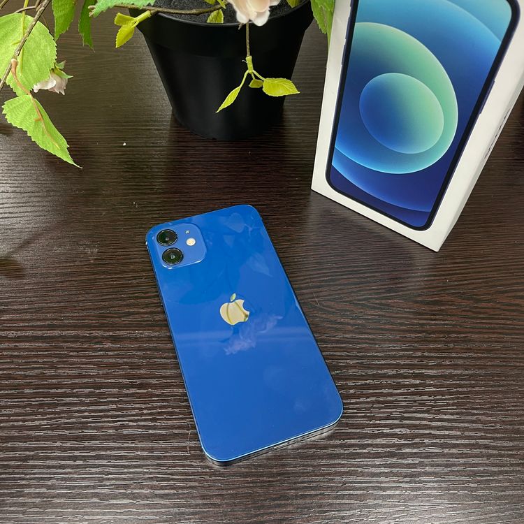 iPhone 12 ֥롼 64Gb SIMե꡼ ̵