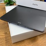 �Хåƥ꡼100% iPad Pro M4 13����� 2TB WiFi + Cellular