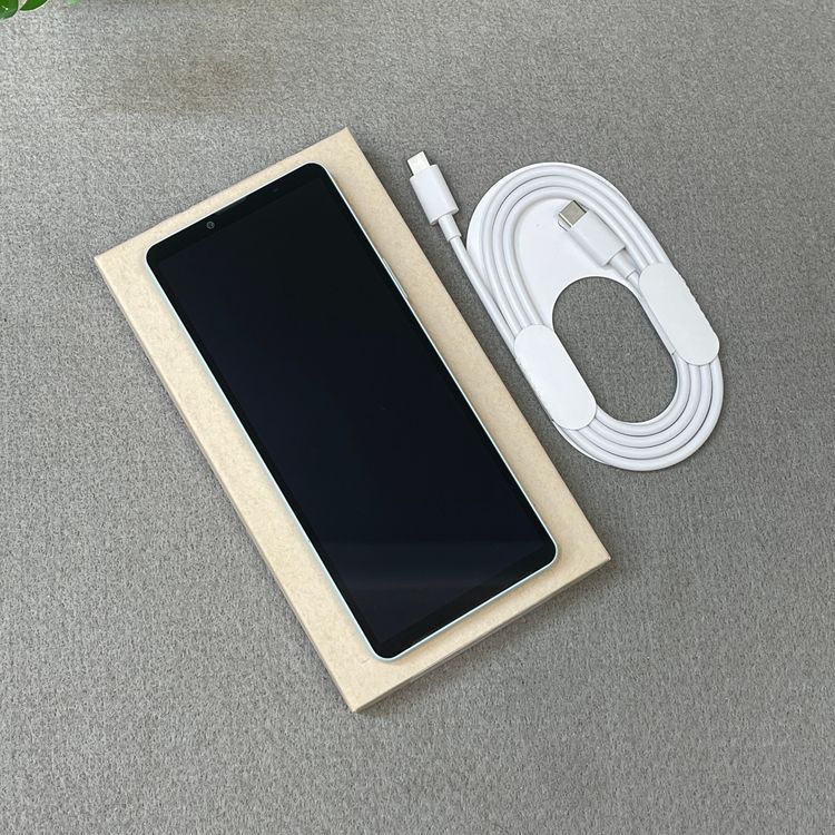 Xperia 10VI 128GB �֥롼 SO-52E �ɥ����� SIM�ե꡼ ����̵��