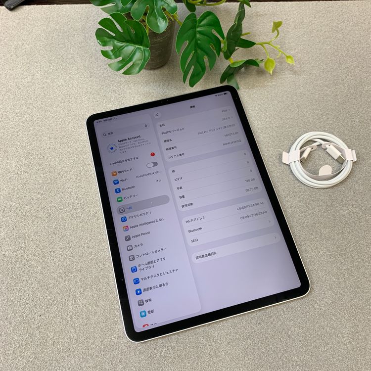 iPad Pro 11���������3�����128GB Wi-Fi��ǥ롡ȯ��̵��