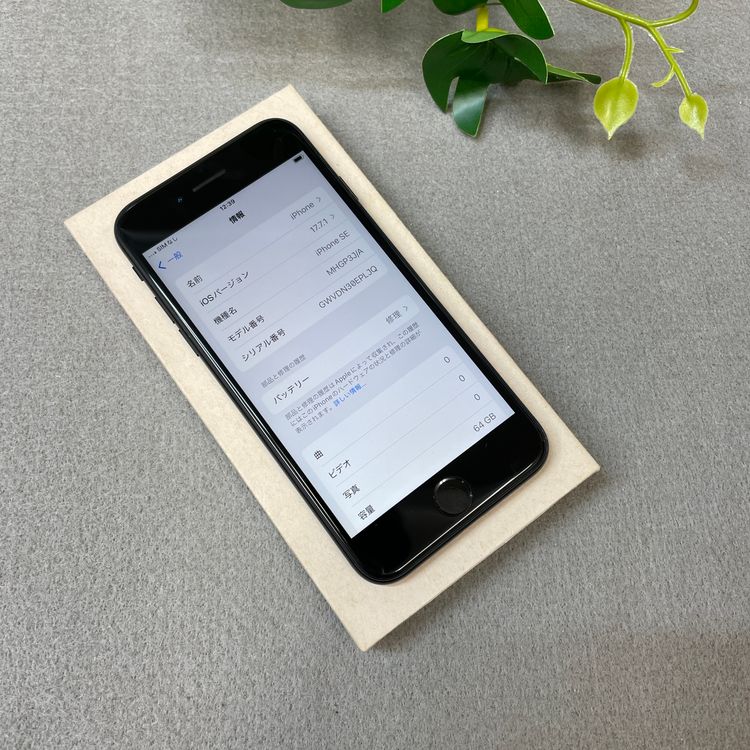 iPhone SE�裲���� 64GB �֥�å� ������ SIM�ե꡼����̵��