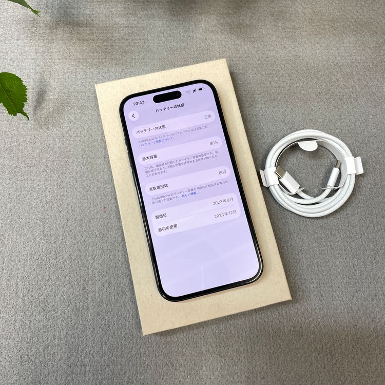 iPhone 15 512GB �֥�å� ������ SIM�ե꡼����̵��