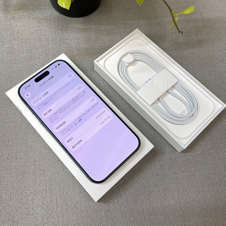�Хåƥ꡼ 100% iPhone 17 256GB �֥�å� Apple�� SIM�ե꡼ ����̵��