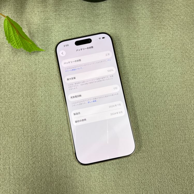 ����Ʊ�� iPhone16Pro 1TB �ǥ����� ������ SIM�ե꡼ ����̵��