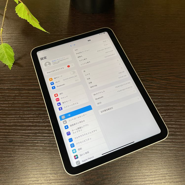 Ʊ iPad mini 6 256GB Wi-Fiǥ ̵