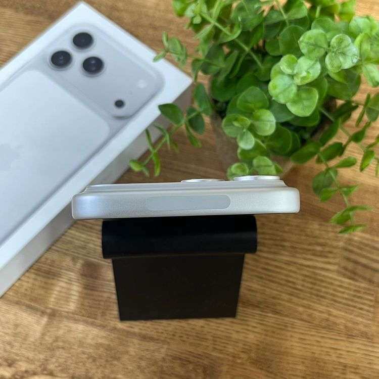 �Хåƥ꡼ 100% iPhone17 ProMax 256GB ����С� ������SIM�ե꡼