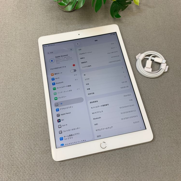 iPad(��8����) 128GB ����С� Wi-Fi + Cellular��ǥ�