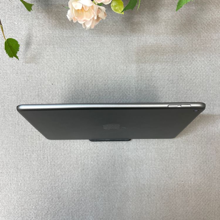 iPad mini 5 ���ڡ������쥤 64Gb Wi-Fi��ǥ� ����̵��