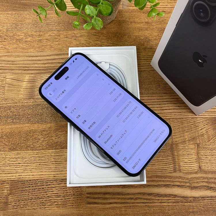 �Хåƥ꡼100% iPhone16 �֥�å� 256GB ������SIM�ե꡼ ����̵��