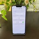 iPhone 13Pro 256Gb  SIMե꡼ ̵