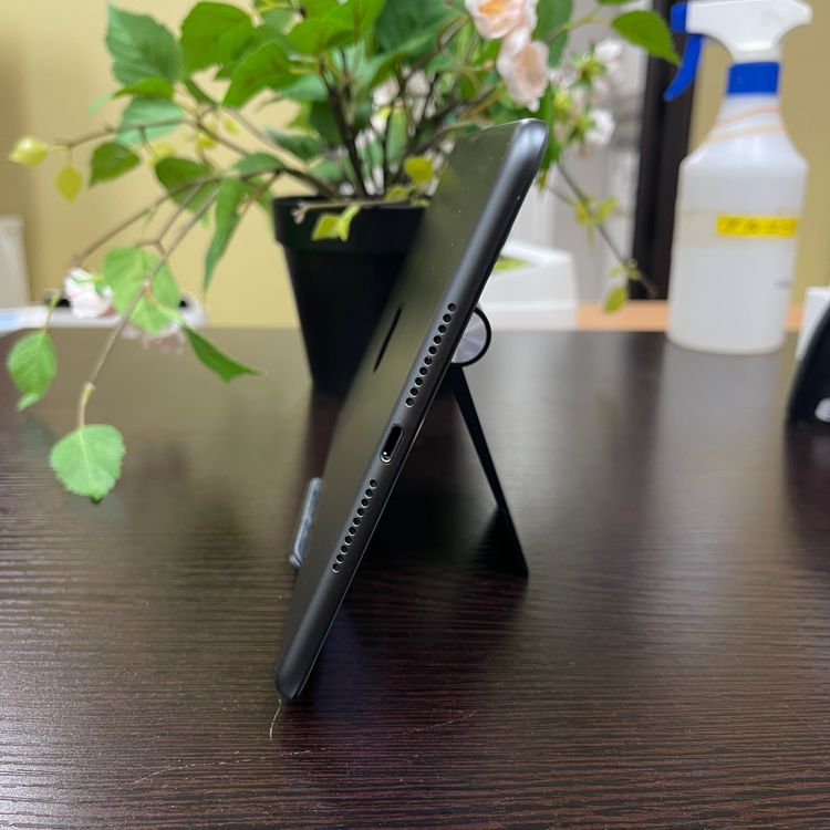 iPad mini 5 ڡ쥤 64Gb Wi-Fiǥ ̵