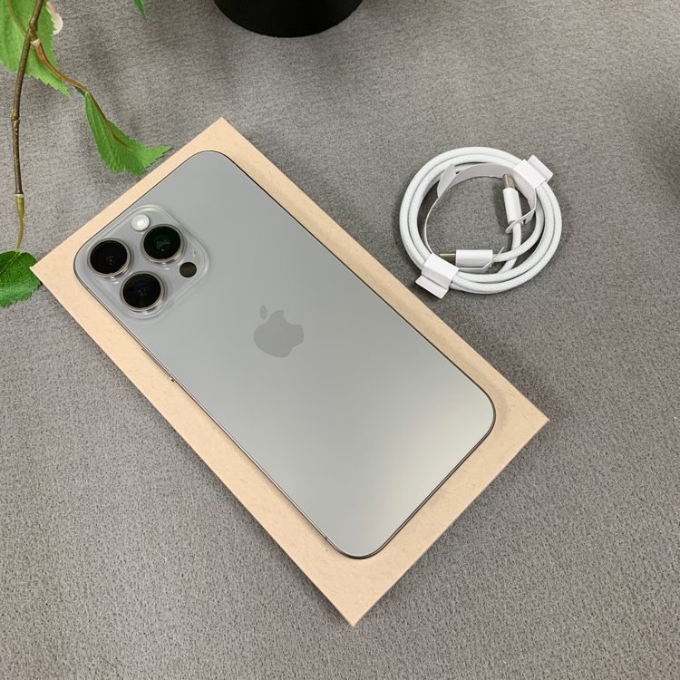 �Хåƥ꡼ 100% iPhone 15ProMax 1TB �ʥ����롡������SIM�ե꡼����̵��