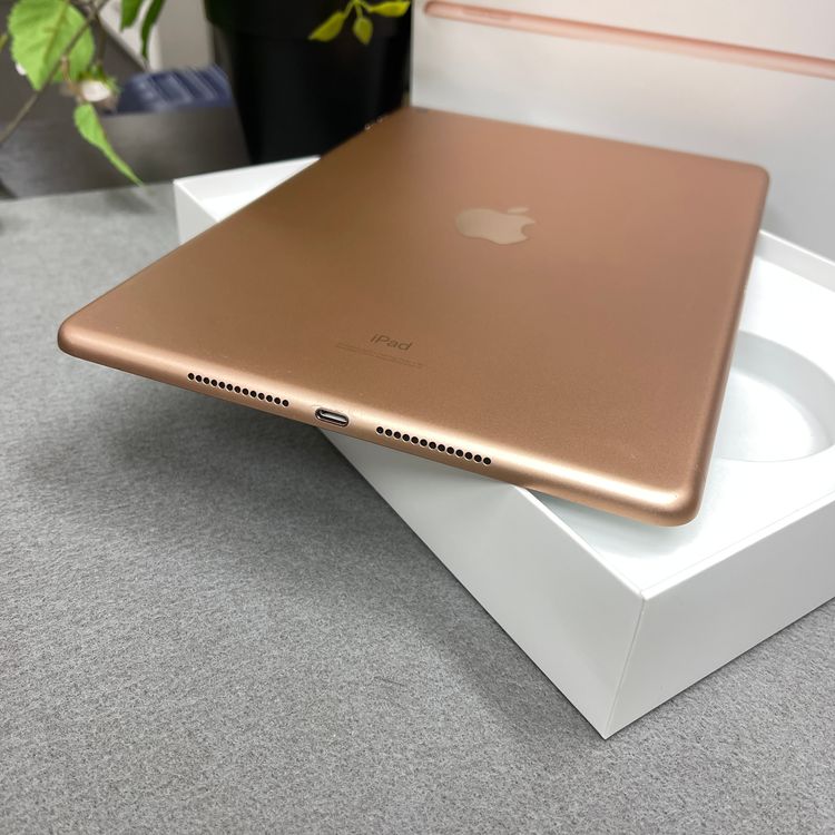 iPad �裷���� 2019 32GB ������� Wi-Fi��ǥ� ����̵��