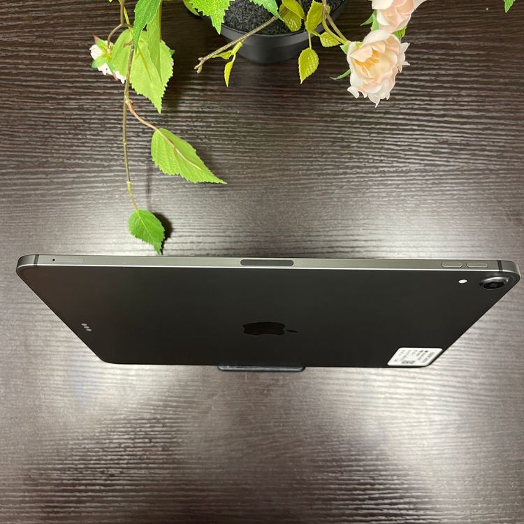 iPad Pro 11 64GB ڡ쥤 Wi-Fi + Cellularǥ