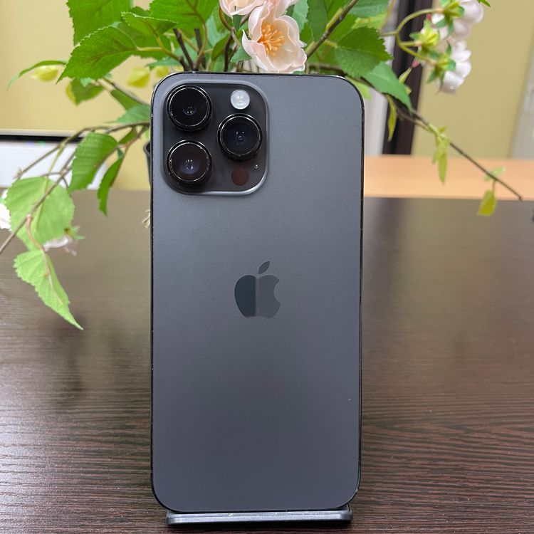 iPhone 14ProMax 256GB ֥å SIMե꡼ ̵